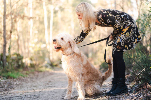 istock Woman playing with her dog on the forest 1963581385