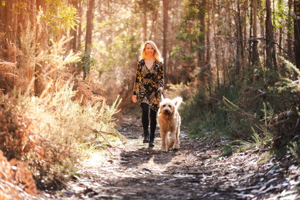 istock Woman walking her dog on the forest 1963582327
