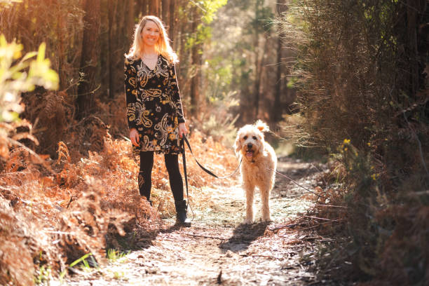 istock Woman walking her dog on the forest 1963582842