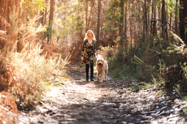 istock Woman walking her dog on the forest 1963582846