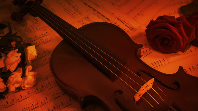 Concert Violin And Roses In Firelight Romantic Scene