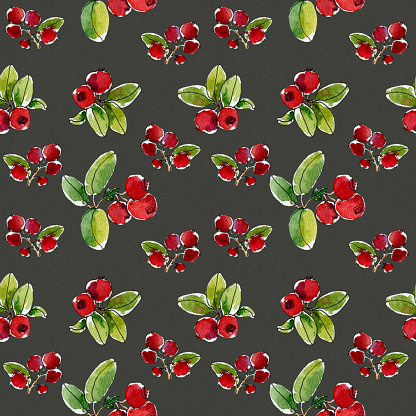 Lovely autumn background with cranberries, red berry. Nordic berries. Hand-drawing botanical seamless texture on a white background. Watercolor background. North Berries. Use for textile print, wrapping paper, packaging design food, jam, juice, ice cream, cosmetics.
