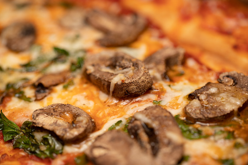 Mushroom and cheese pizza