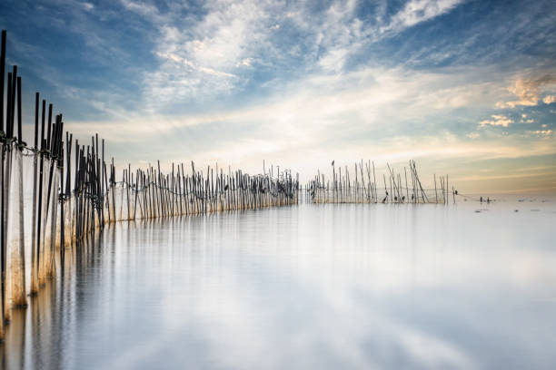 Beautiful sunset over lake with nets and birds