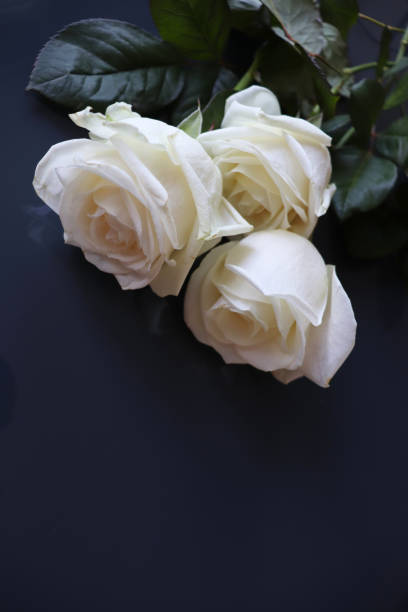 istock delicate bouquet of roses 1963730949