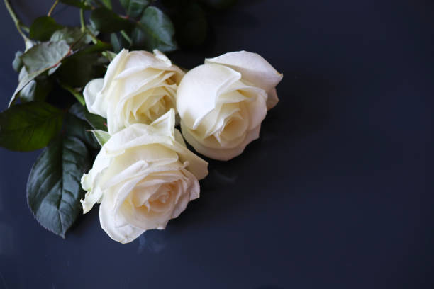 istock delicate bouquet of roses 1963730951