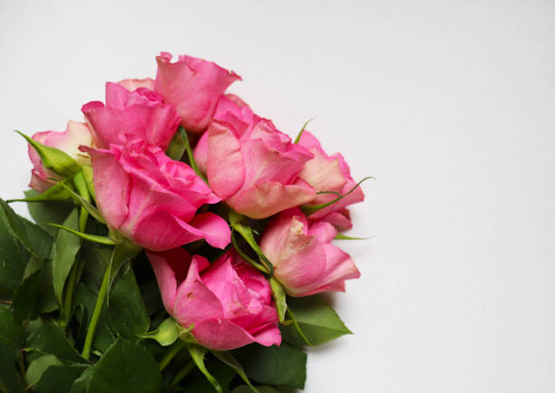 romantic composition. delicate bouquet of roses