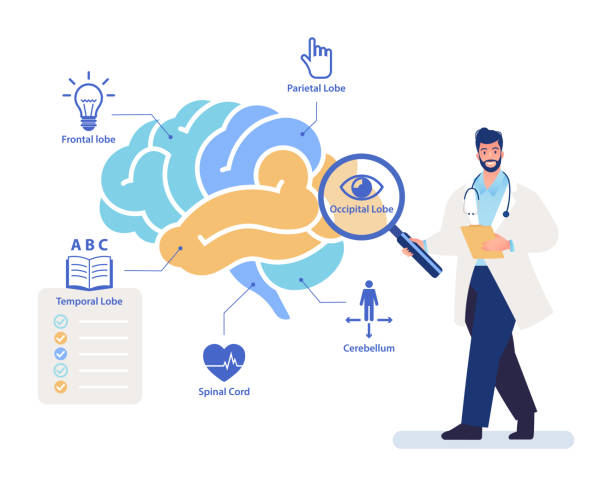 Neurologic Graphics 60+ Neurologic Disease Stock Illustrations, Royalty-Free Vector ...