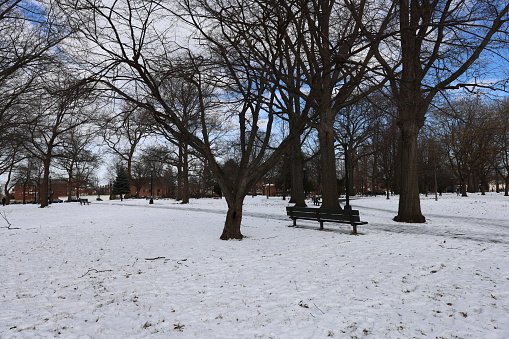 Snow Day, Park in Queens, New York. Taken January 20,2024. Snow in January cover the park in Queens.