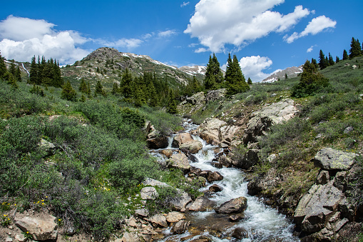 Roaring Fork River near Independence Pass in the Colorado Rocky Mountains