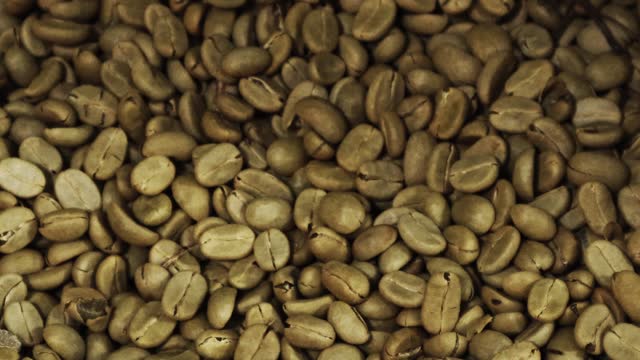 Close-up view of many fresh coffee beans for roasting.