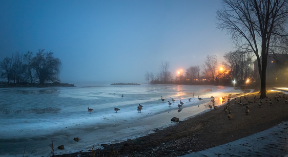 A view of the Detroit River on a foggy winter evening in Windsor, Ontario