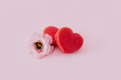 Pink heart shaped french macarons with flower on a pink pastel background. Concept for Valentine's day. Place for text