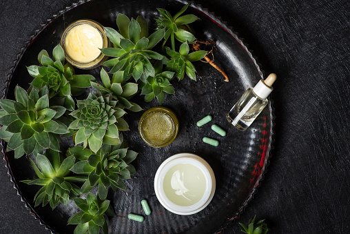 Cosmetic and medical products for face and body skin care from sempervivum tectorum. Natural creams, oils and health supplements on dark background
