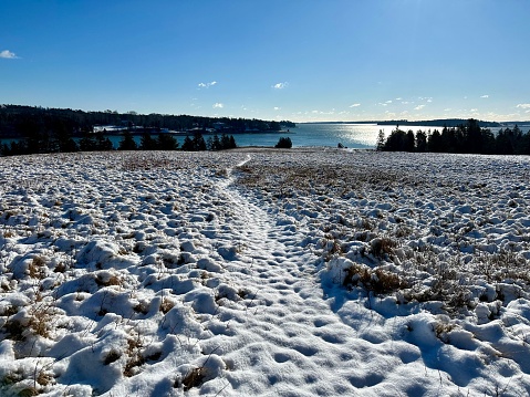 Coastal Maine Winter