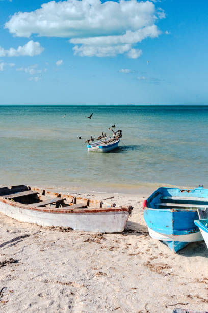 istock Pelicans standing on a boat fishing 1963895788