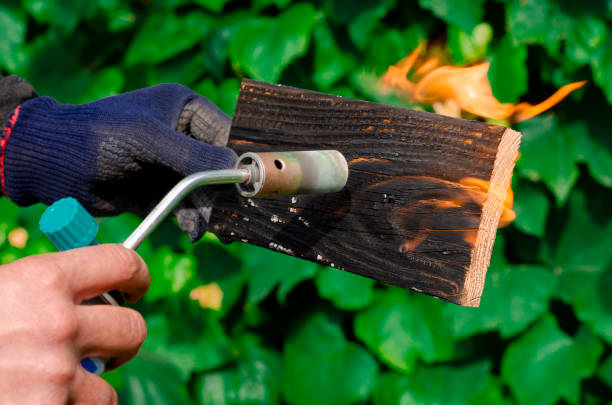 istock DIY process. Wood treatment with gas burner fire 1963993199