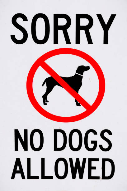 Sorry No Dogs Allowed Sign