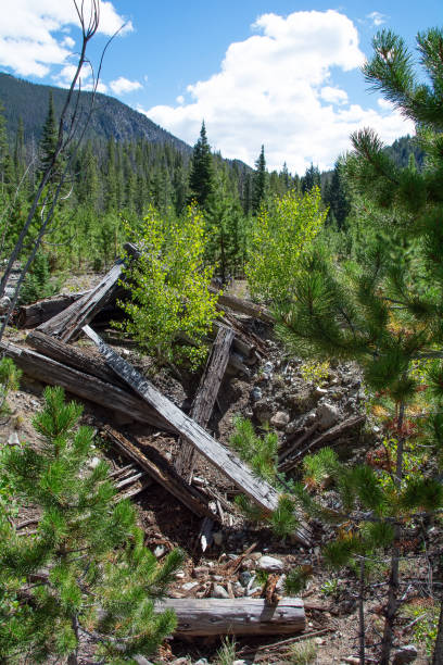 istock Cabin ruins at Teller City ghost town 1964028307