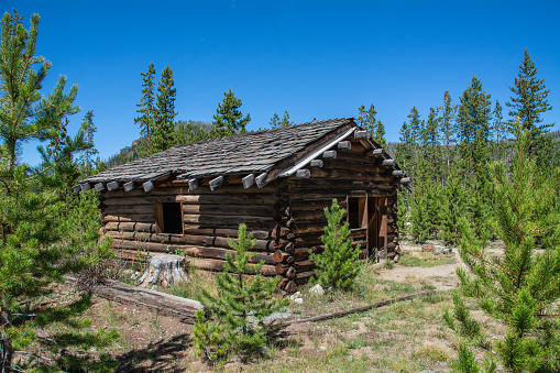 Reconstructed cabin at Teller City ghost town, a national historic site in the Routt National Forest near Rand, Colorado