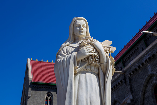 Cathedral at the old town of City of Ljubljana with statue of Saint Fortunatus on a cloudy summer day. Photo taken August 9th, 2023, Ljubljana, Slovenia.