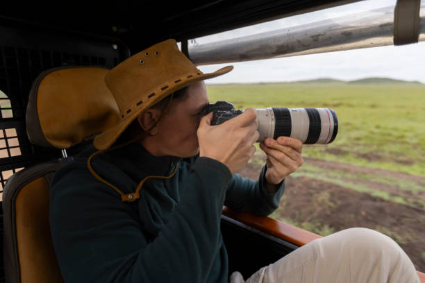 istock Photographing wildlife on safari 1964108403