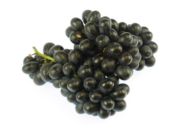 fresh black grapes isolated on white background