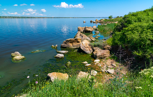 Eutrophication of the Khadzhibey estuary, blooms in the water of the blue-green algae Microcystis aeruginosa and the mass development of the green algae Enteromorpha sp.