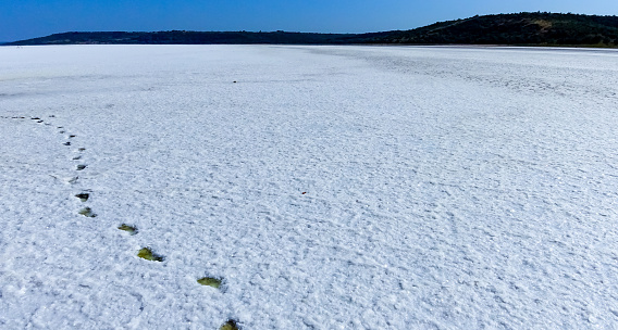 The bottom of the drying dead sea (Kuyalnik estuary, Odessa region), traces of human feet on wet self-sedimenting table salt, Ukraine
