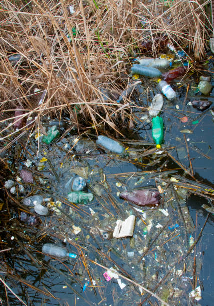 istock Environmental problem, garbage. Contamination with debris and plastic of natural reservoirs. Ukraine 1964198962