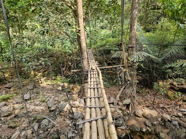 istock Bamboo made walking bridge across the river in kerala, India. 1964304023