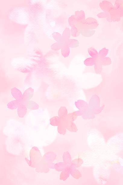 ilustrações, clipart, desenhos animados e ícones de uma fantástica ilustração vertical de grandes e pequenas flores de cerejeira dançando em um fundo rosa. - blossom cherry blossom tree white