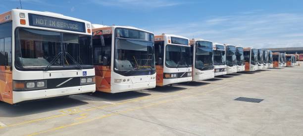 istock A Line of Busses Wait For Their Next Job 1964379901