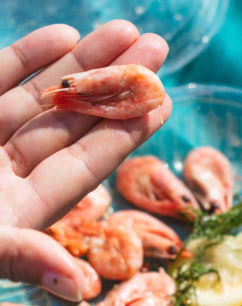 istock Close up of red shrimp in hand 1964417929