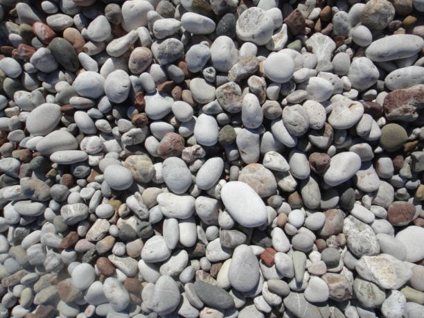 istock Small river pebbles background. Many small oval river pebbles background. 1964419415