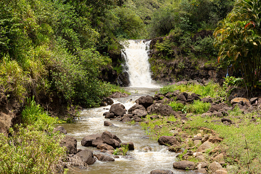 Photo of Waimea waterfall on northshore of Hawaii