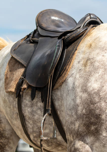 istock Close-up of a saddle on a horse 1964475532