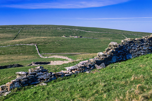 Landscape view with stone walls on a moor in Shetland
