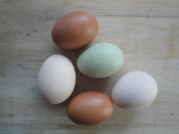istock eggs as food for baking and cooking 1964496008