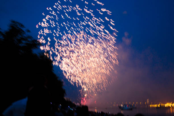 bright multi-colored festive fireworks in the night sky