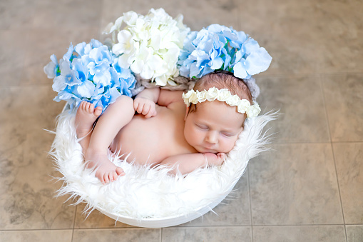 Newborn baby girl in a basket sleeping sweetly with blue hydrangea flowers, close-up portrait.