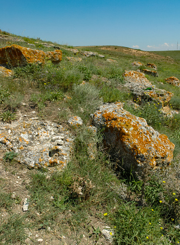 Orange and gray lichens on coastal limestone stones and rocks in Crimea, Tarkhankut