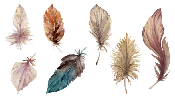 istock Hand drawn watercolor illustration bird feather plume quill boho tribal ethnic indian. Set of objects isolated on white background. Design for charm, scrapbooking, dreamcatcher, handmade craft, tattoo 1964602889