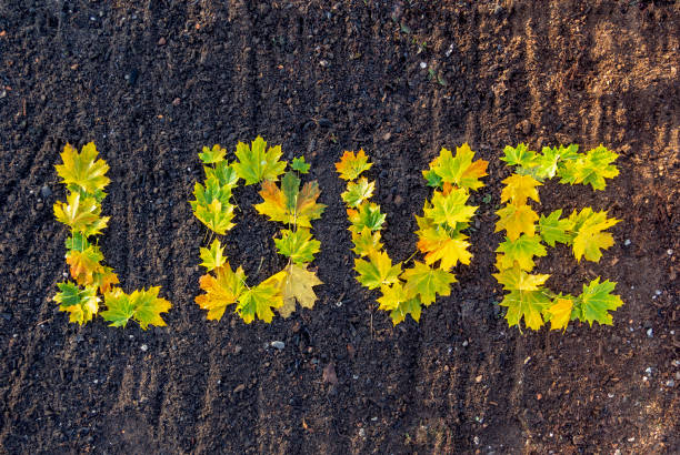 Word love from fall yellow green leaves on brown ground romantic fall background