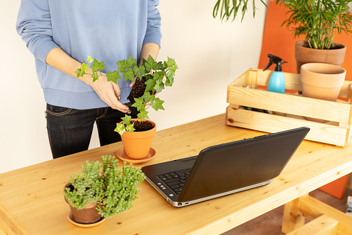 Woman planting flowers in a flower pot for an online course