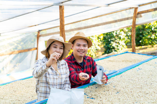 agricoltore asiatico online che commercializza il caffè nella piantagione di caffè. - farmer laptop selling internet foto e immagini stock