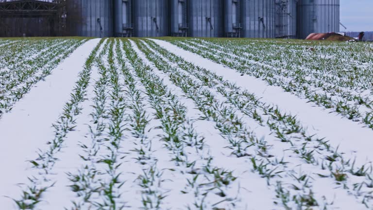 SLO MO Drone Panning Shot of Snow Covered Agricultural Landscape with Silos in Background Under Sky in Slovenia