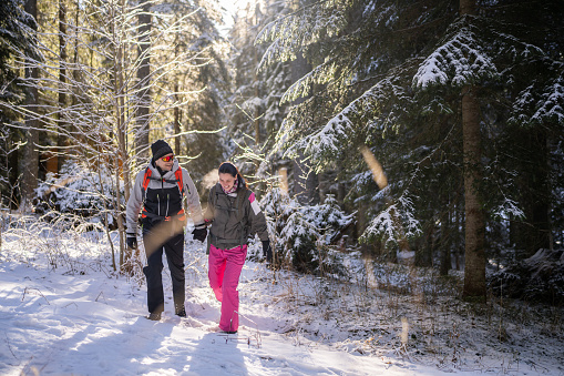 Full length shot of happy couple holding hands and smiling while walking in beautiful snowy forest on sunny winter day