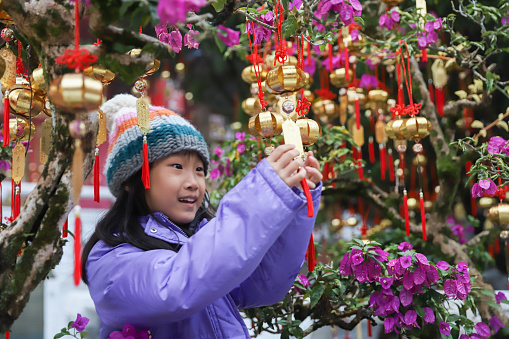 An Asian girl goes to the temple to pray before the Lunar New Year. She writes her wishes on a sky lantern and hangs the sky lantern on the tree with a red Chinese knot. This is a traditional Chinese custom during the Lunar New Year.