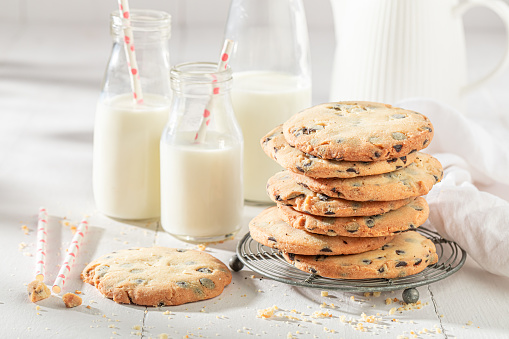 Sweet and tasty vanilla cookies as a sweet popular snack. Vanilla butter cookies with milk.